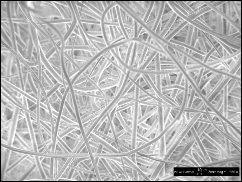 Random Fiber Layer Research Projects | TISSUE ENGINEERING AND ACTIVE BIOMATERIALS (TEAM ...